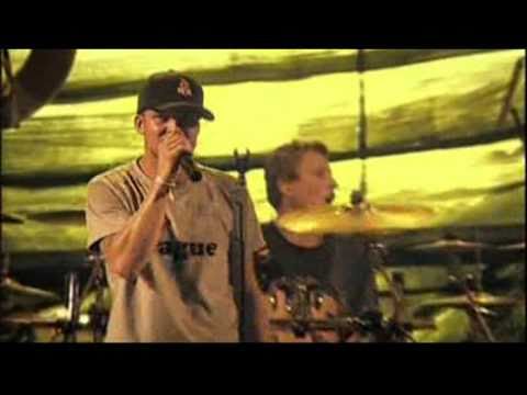 Divokej Bill 3/10 - Prase - Medvědář