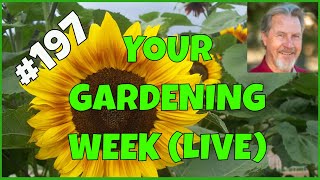 How to Teach Gardening (Q&A)