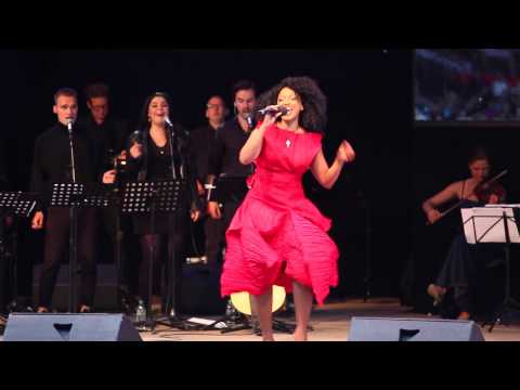 17. Sommernacht des Musicals 2015