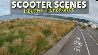 What's happening on the beach this morning? | October 10th, 2026 | Lower Hutt, N