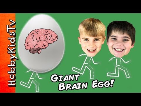 Giant BRAIN Surprise Egg with Learning Toys