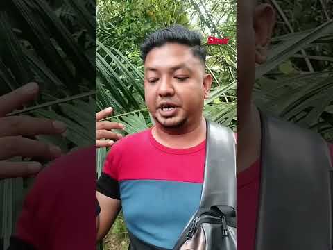 Enam sekeluarga terkorban: Proton X50 baru keluar kedai pagi tadi - Abang ipar