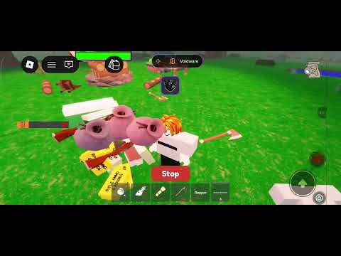 Хакер н нэг иймэрхүү