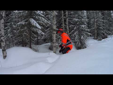 Puunkaato  senseitekniikalla - HATAAAAA!