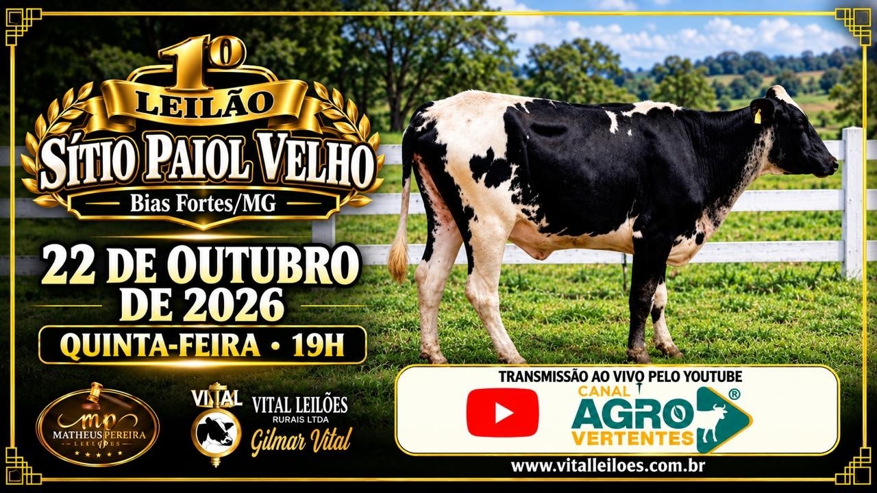 1º LEILÃO VIRTUAL SÍTIO PAIOL VELHO - BIAS FORTES/MG - 22/10/2026