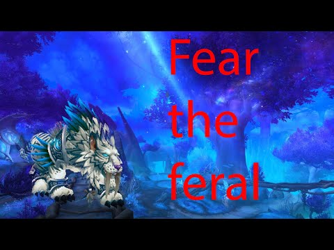 Fear the feral - Feral druid pvp - shadowlands 9.0.5