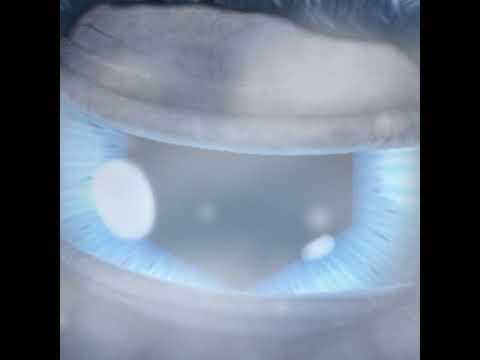 Gang beasts battle Royal