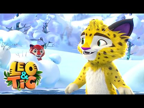 Leo and Tig ????❄️ Winter compilation ❄️???? Funny Animated Cartoon for Kids