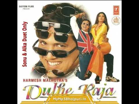 Aayi Ban Ke Root|Dulhe Raja 1998|Sonu Nigam, Anuradha Paudwal|Romantic Song|90s Evergreen|