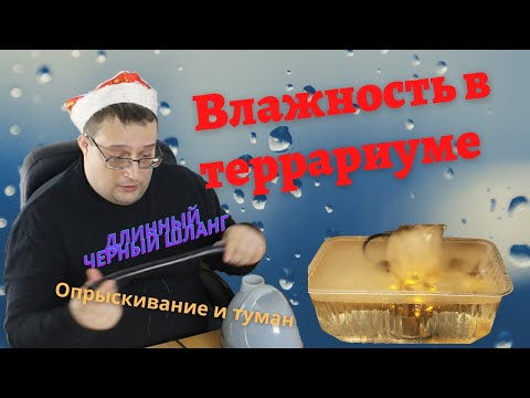 Влажность в террариуме. Опрыскивание и генератор тумана