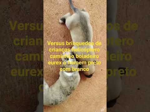 🌐🌏 Pau D'arco do Piauí🧭🛻🛻🛻🏡🏡🏡🏡🏡🏡