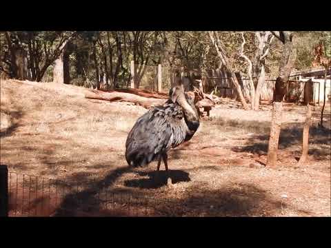 São Carlos SP Parque Ecológico e UFSCar