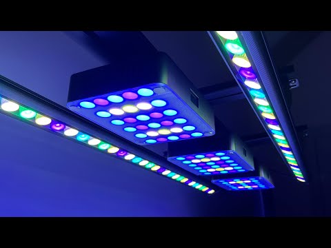 Review: ReeFi Uno 2.0 Pro Reef Lights - A Lengthy Discussion