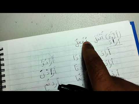 Madinah Book 2 - LESSON 16 (part 1)