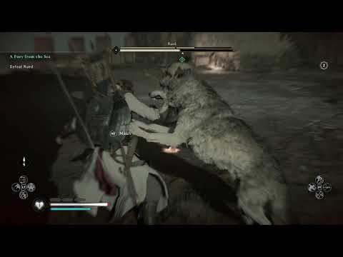 Assassin's Creed Valhalla Use Fire Defeat Rabid Wolf and Rued