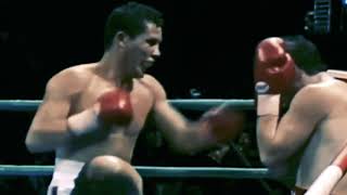 Legendary Julio Cesar Chavez Explained