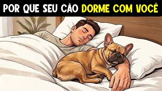 Se o seu cachorro dorme com você, ele está tentando te dizer ISSO! 🦮