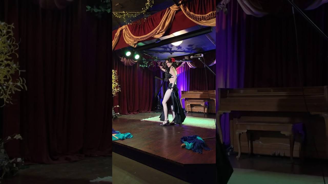 Promotional video thumbnail 6 for Jennifer Estrella Bellydance