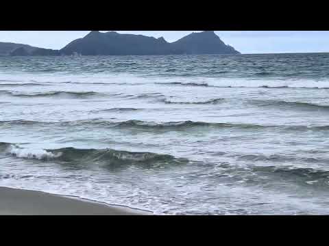 Beautiful 🤩 beach 🏖️ #New Zealand #whangarei