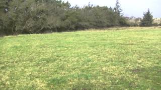 cassie jacks bitch coursing