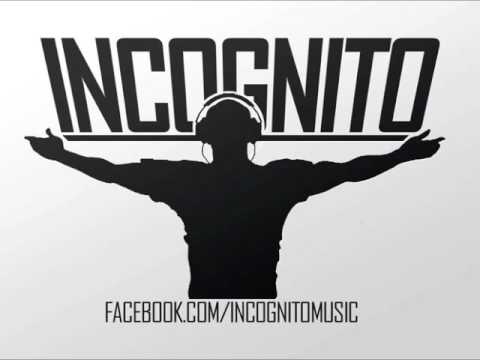 Avicii ft Loona - Levels / Vamos ala playa (Incognito Music Bootleg)