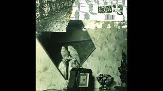 Swell Maps - One of the crowd