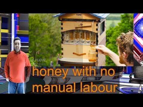, title : 'this bee hive called honey flow claims to revolutionize bee keeping without needing to be bee keeper