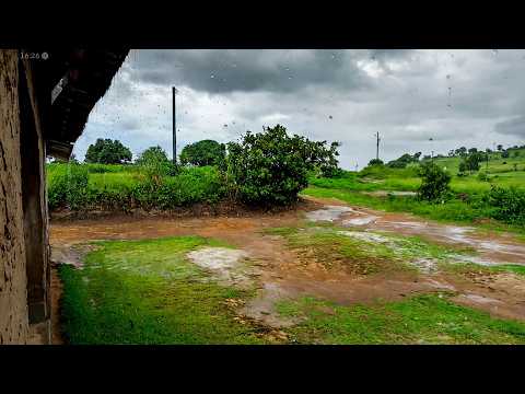 NOSSO SÍTIO EM PERNAMBUCO 80.000M² 8 HECTARES CHUVA NA ROÇA 