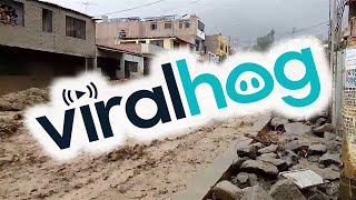 faze tari viitura mare