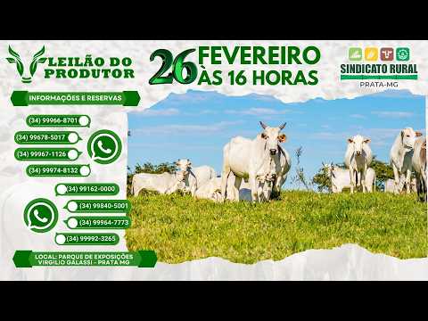 LEILÃO DO PRODUTOR - SINDICATO RURAL DE PRATA MG - 26/02/26