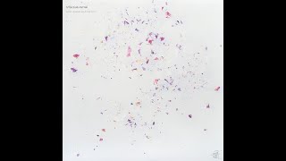 Download lagu Clammbon, Yamazaki, Mino & Yamane (Toe), Nujabes – Reflection Eternal / Imaginary Folklore [HOR-055] mp3
