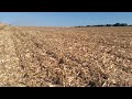 Насіння кукурудзи ЛГ 30315