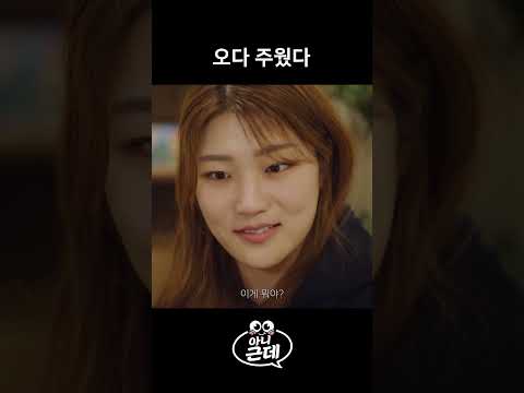 비디오 6