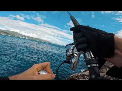 Shore Jigging Konavle ( When fish are active for 15 minutes )