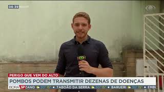 Miniatura do vídeo