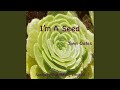 I'm a Seed