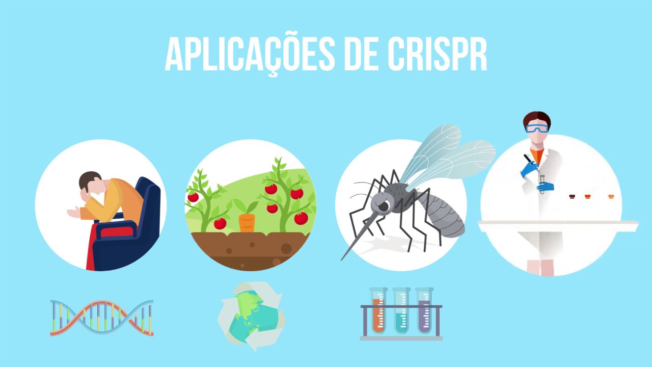 O mistério do CRISPR