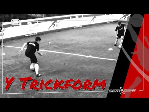 Y Trickform - SEM Fußballtraining - 2 001TE