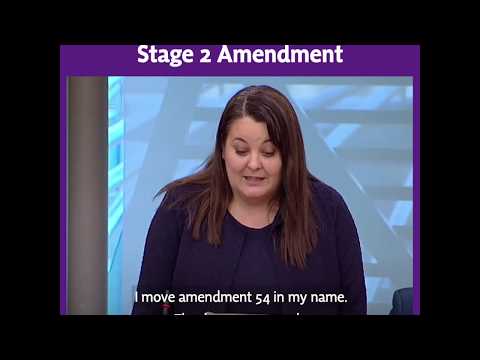 Coronavirus Bill Stage 2 Debate Amendment - Ruth Maguire MSP