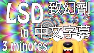 3分鐘解釋迷幻藥LSD (中文字幕)