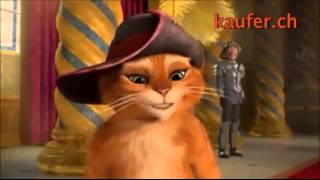 lustige sprüche zum geburtstag männer