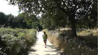 preview picture of video 'CAMINO DE SANTIAGO. ETAPA SARRIA - PORTOMARIN'