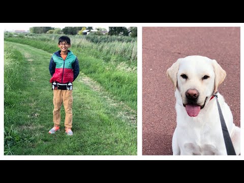 Morning walk with my boys - Reyansh & Ray 😍 | Purmerend |