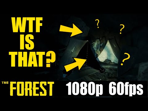 WTF is that? - The Forest - Yolo Letsplay - Part 5