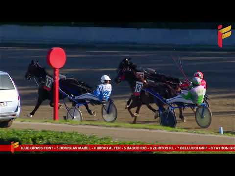 II Corsa del 27 dicembre 2022 - 5 Anni ed oltre - Reclamare - Metri 2000