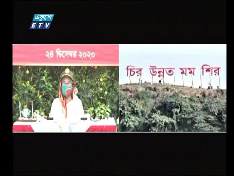 মাতৃভূমিকে ভালোবাসতে হবে প্রাণ উজাড় করে-প্রধানমন্ত্রী