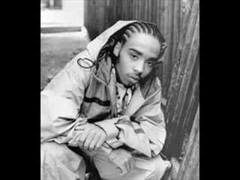 Shyheim - Pardon the Noise