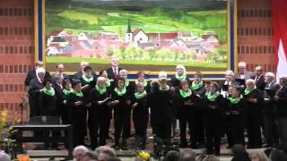 Schau die Schwalben sind da