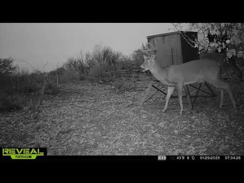 Cat Creek Hunting Camp