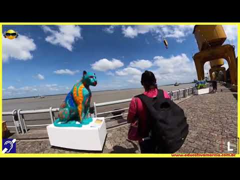 Tv Educativa a Epopéia de Marília S.P rumo à Cop 30 Belém do PARÁ PA. Professor Mestre em História Rafael Giovanetti Teixeira, Ademar Aparecido de Jesus e Marcos Jordão em Belém do Pará PA dia 07 de Novembro de 2.025